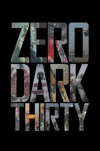 Zero Dark Thirty Image