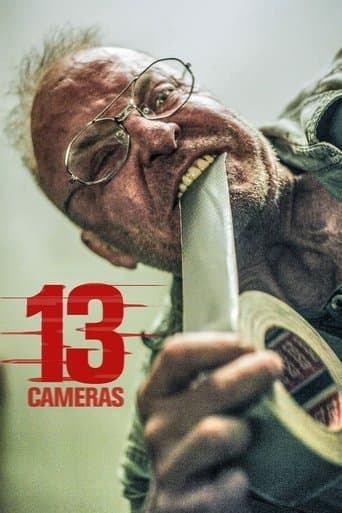 13 Cameras Image