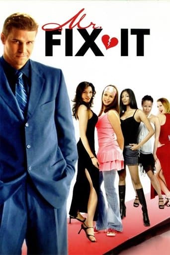 Mr. Fix It Image