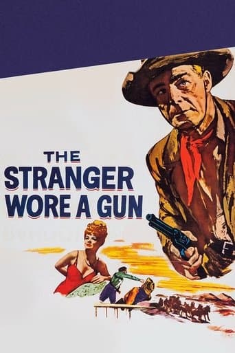 The Stranger Wore a Gun Image
