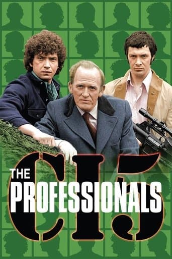 The Professionals Image