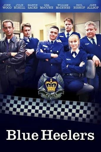 Blue Heelers Image