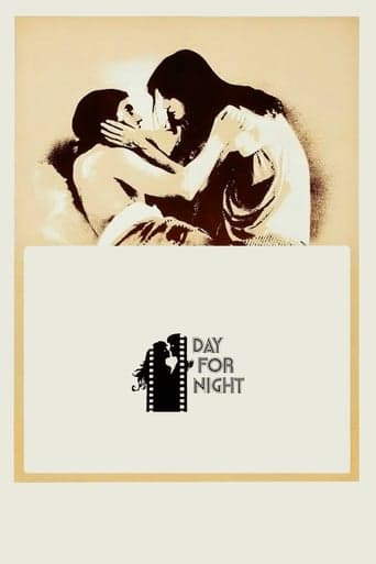 Day for Night Image