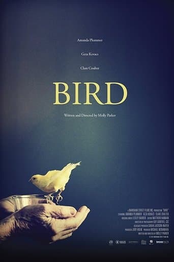 Bird Image