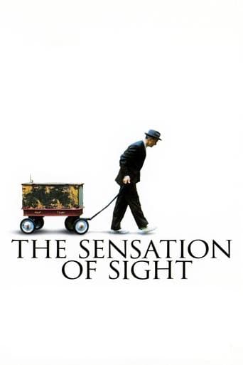 The Sensation of Sight Image