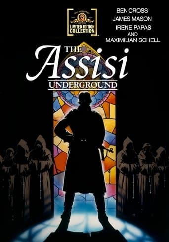 The Assisi Underground Image
