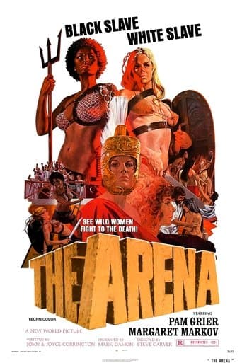 The Arena Image