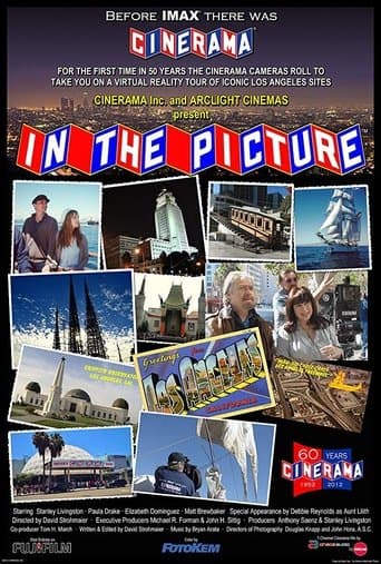 In the Picture Image