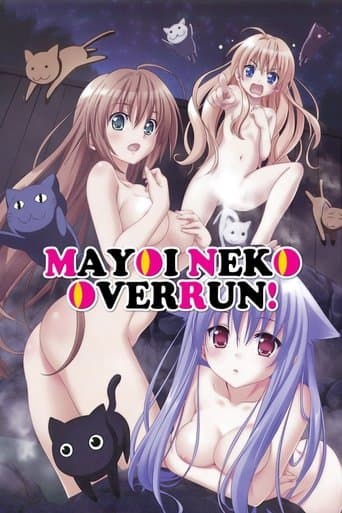 Stray Cats Overrun! Image