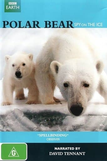 Polar Bear: Spy on the Ice Image