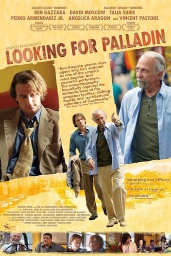 Looking for Palladin Image