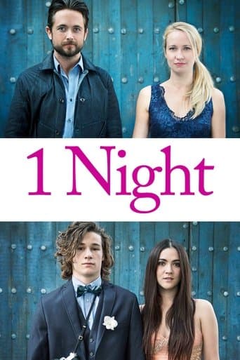 1 Night Image