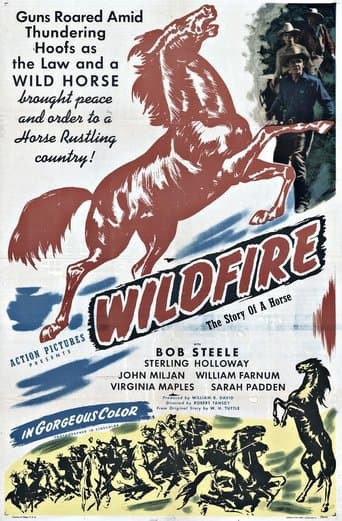 Wildfire Image