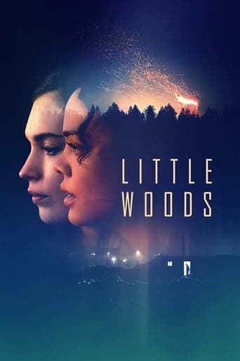 Little Woods Image