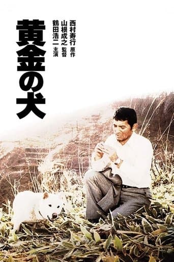 Dog of Fortune Image