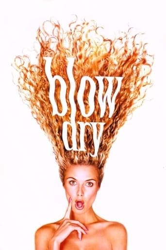 Blow Dry Image