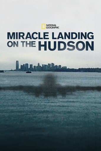Miracle Landing on the Hudson Image