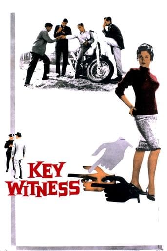 Key Witness Image