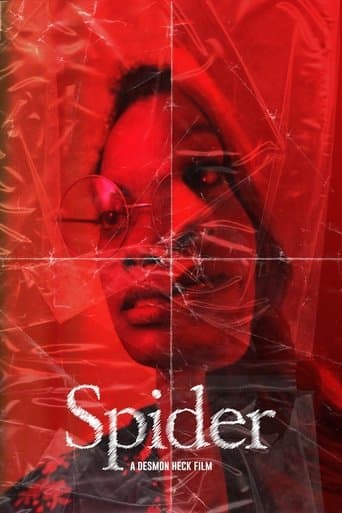Spider Image