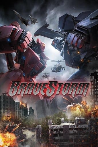 BraveStorm Image