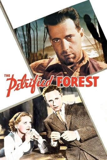 The Petrified Forest Image