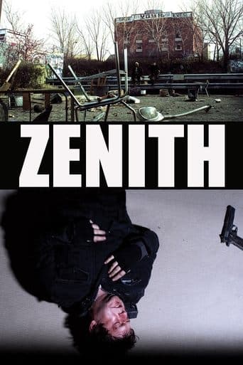 Zenith Image
