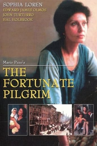 The Fortunate Pilgrim Image