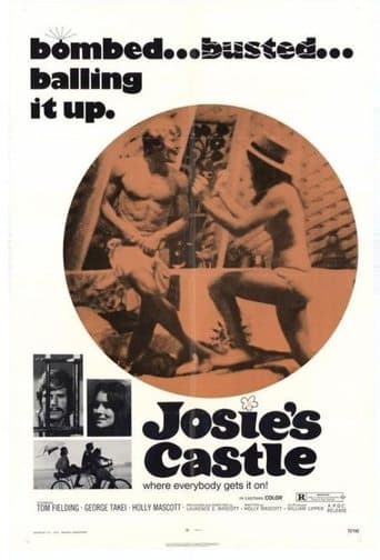 Josie's Castle Image