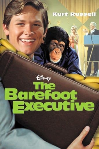 The Barefoot Executive Image