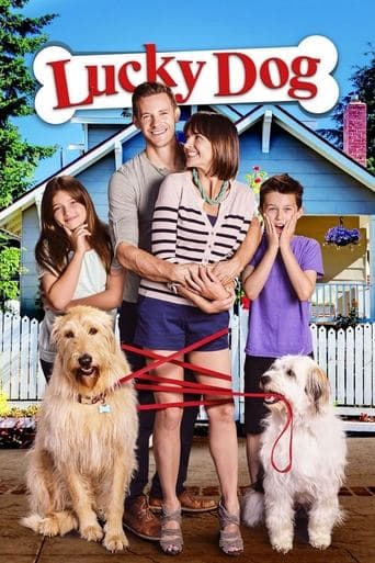 Lucky Dog Image