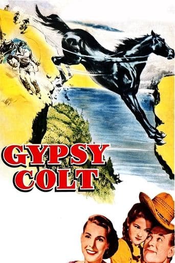Gypsy Colt Image