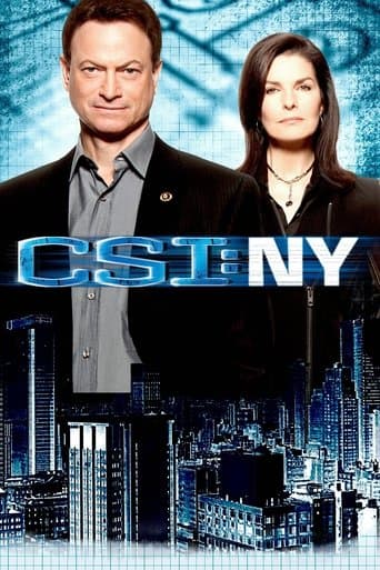 CSI: NY Image