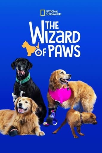 The Wizard of Paws Image