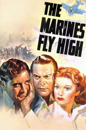 The Marines Fly High Image