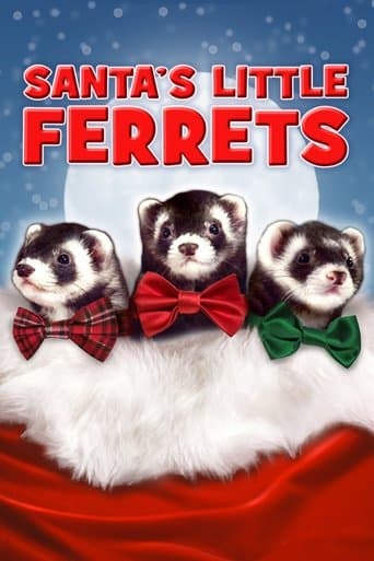 Santa's Little Ferrets Image