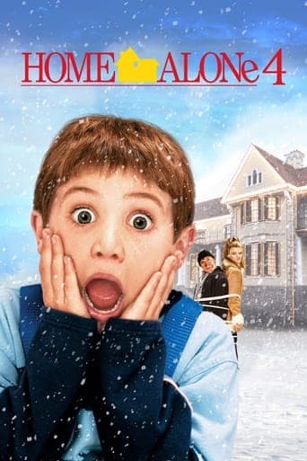 Home Alone 4 Image