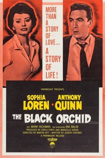 The Black Orchid Image