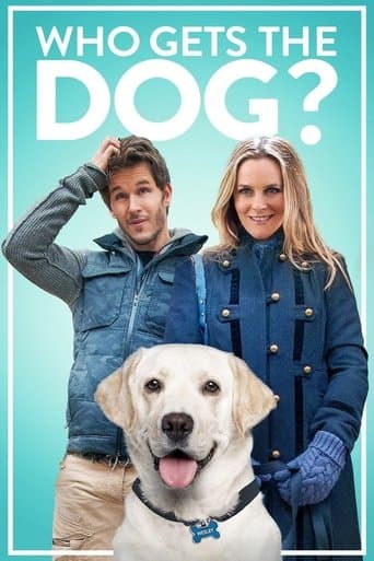 Who Gets the Dog? Image