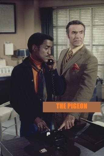 The Pigeon Image