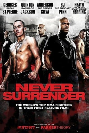 Never Surrender Image