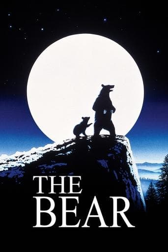 The Bear Image