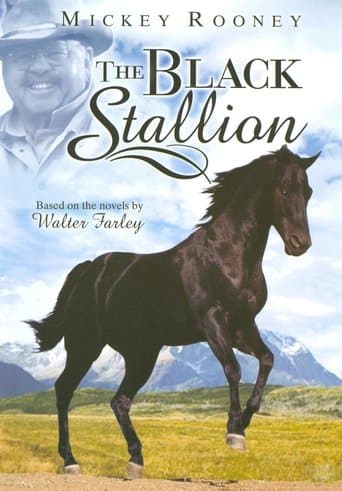 The Adventures of the Black Stallion Image