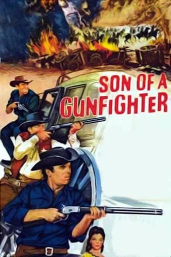 Son of a Gunfighter Image