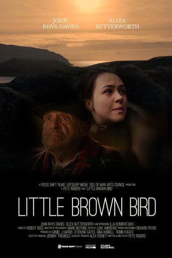 Little brown bird Image