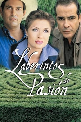 Labyrinth of Passion Image