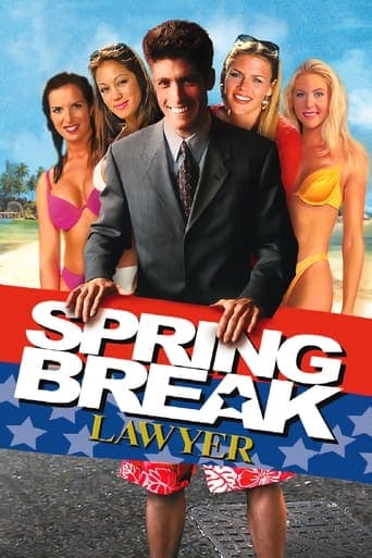 Spring Break Lawyer Image