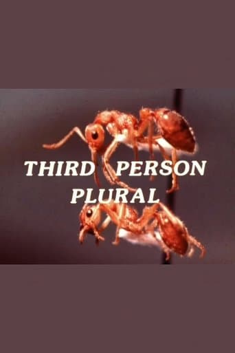 Third Person Plural Image