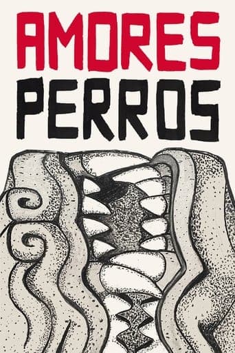 Amores Perros Image