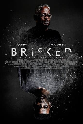 Bricked Image
