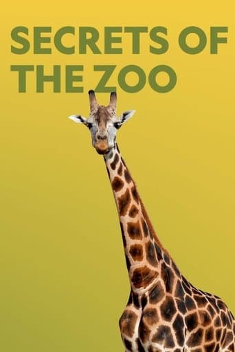 Secrets of the Zoo Image